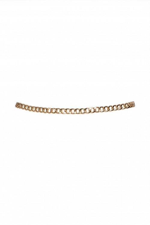 Gold metallic belt with buckle