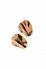 Pleated Effect Earrings