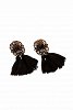 Tassel Earrings with Stone